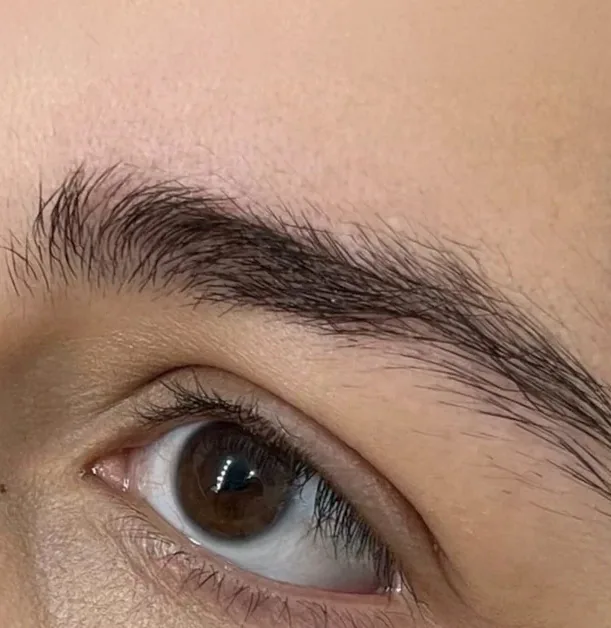 Sourcil fourni avant la restructuration