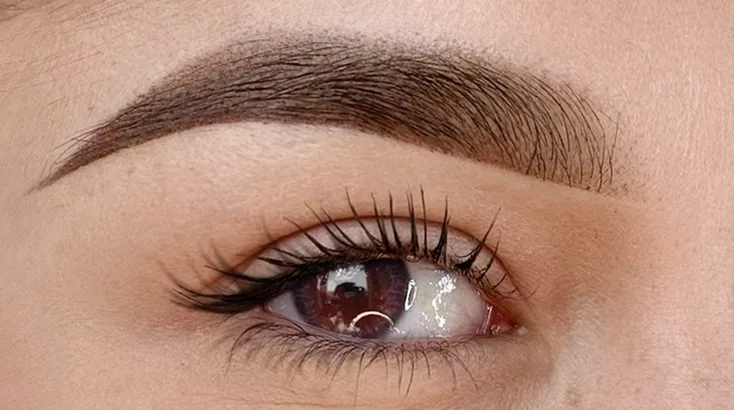 Sourcil poudré en maquillage permanent, dégradé net et regard souligné