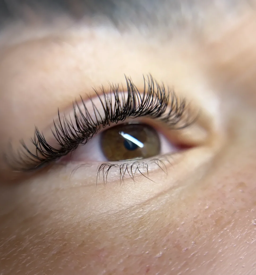 Gros plan d'un œil marron aux extensions de cils cil à cil