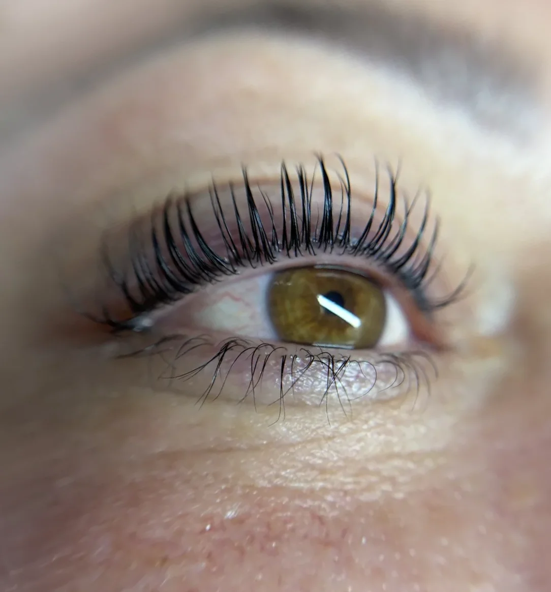 Gros plan de cils naturels recourbés après un rehaussement de cils